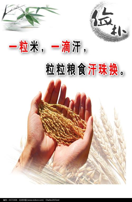 肯特大学毕业证成绩单购买